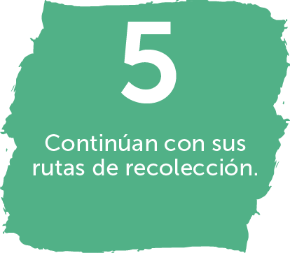 Imagen de fondo, 5. Continúan con sus rutas de recolección.