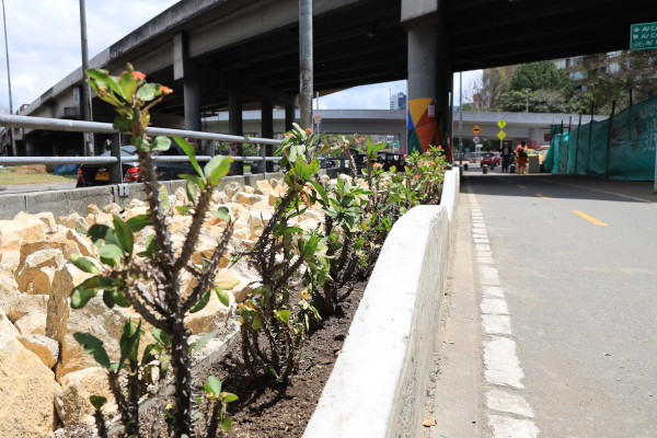 Sendero para peatones y bicisuarios ubicado debajo de un puente vehicular. Se ven piedras y plantas a su alrededor.