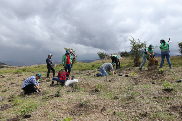 Funcionarios y voluntarios plantando arboles