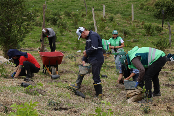 Equipo ambiental y voluntarios de la Subdirección de Disposición final Durante la jornada.