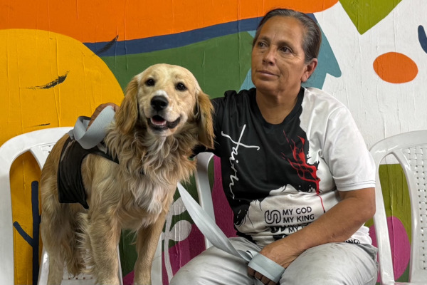 Animales beneficiados 