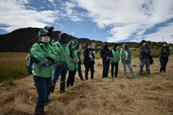 Colaboradores de la UAESP se preparan para iniciar jornada de plantación de árboles. 