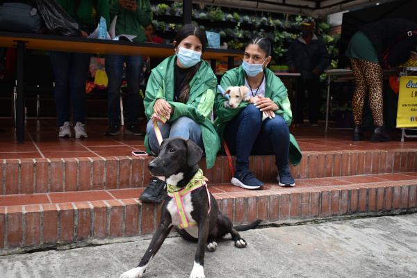 Jornada “Adoptémonos” en la UAESP