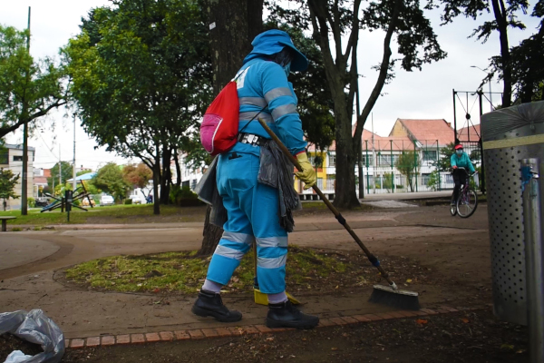 Las hojas de los árboles no son basura, aprende a convivir con ellas