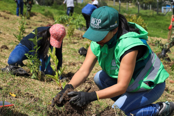 Funcionaria de la UAESP planta uno de los árboles en el Parque de Innovación Doña Juana.