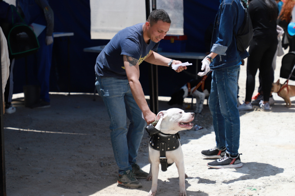 Un perro es recogido por su dueño, luego de ser esterilizado.