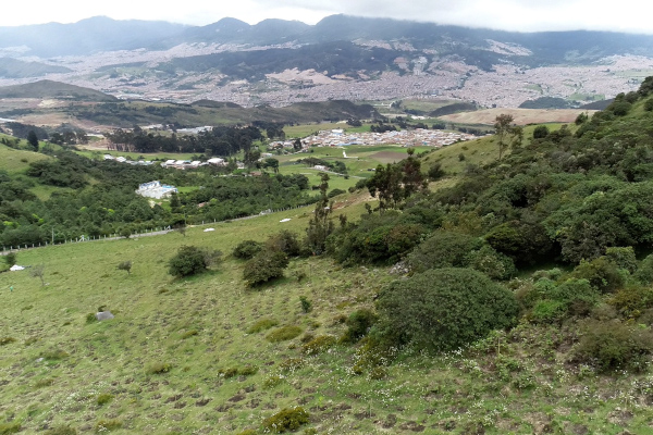 Imagen panorámica de uno de los predios reforestados por parte de la UAESP en Mochuelo Alto.