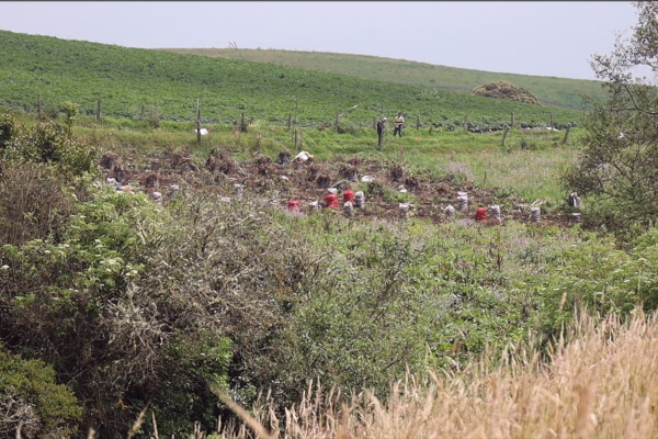 Campesinos sembrando en la zona  rural de Ciudad Bolívar