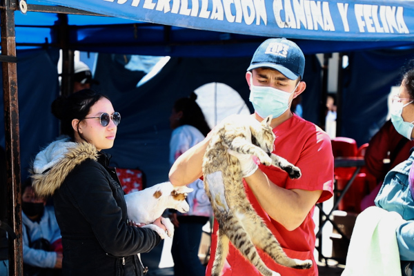 Persona carga a un gato que acaba de ser esterilizado. 