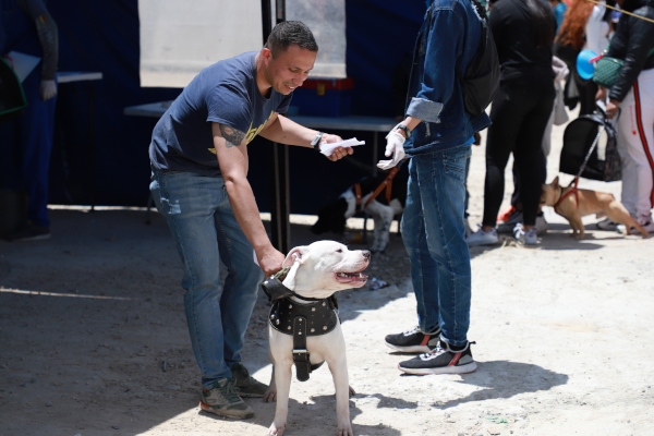 Se esterelizaron aproximadamente 180 mascotas, entre perros y gatos, en la Feria de Servicios. (Dueño con el perro).