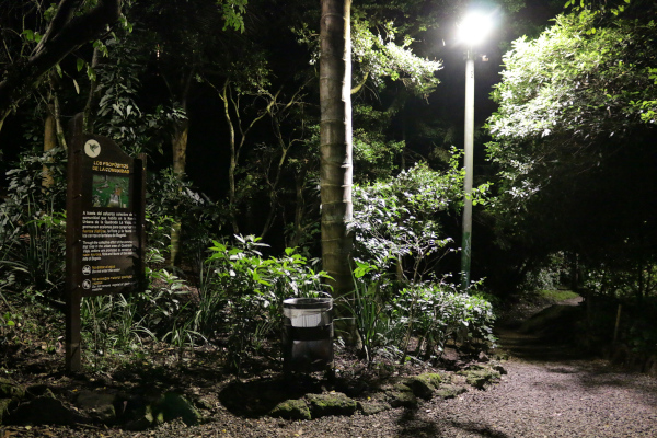 El ingreso al sendero ecológico de la Quebrada La Vieja, ubicado en el barrio Rosales tiene nuevas luminarias. En total, fueron modernizadas 15 bombillas de sodio a led que mejora la percepción de colores, amplia el rango de iluminación y genera mejores entornos durante la noche. 