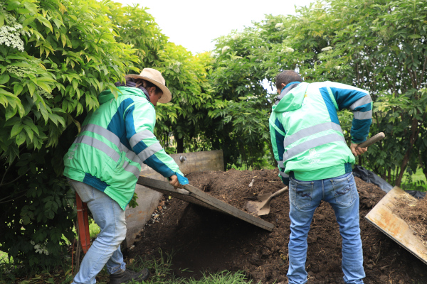 En el predio Los Manzanos realizamos un proceso de compostaje para utilizar como abono a los árboles que sembramos en esta zona de Bogotá.