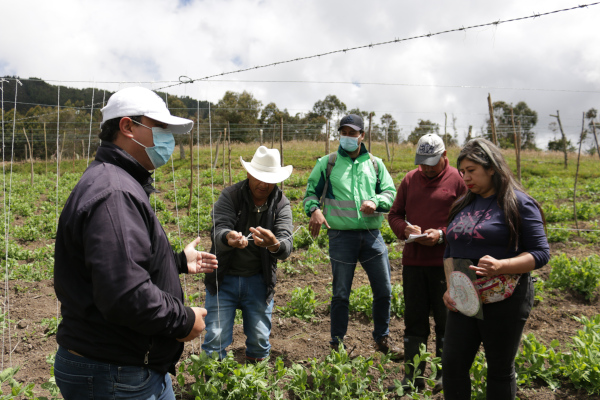 Habitantes de Mochuelo aprenden técnicas de siembra y comercialización de cultivos transitorios