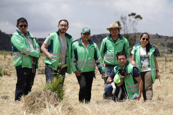 Seguimos plantando árboles en Mochuelo