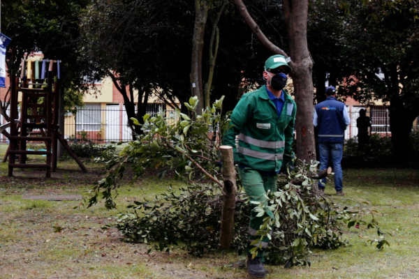 Operario de aseo poda árbol en Suba.