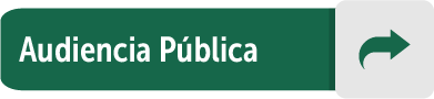 Icono Audiencia pública
