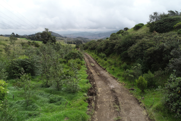 Ronda de la Quebrada el Zorro.