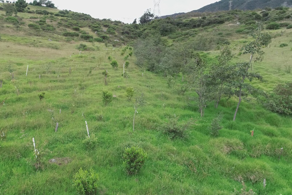 Zona de amortiguamiento ambiental.
