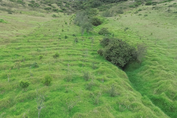 Ronda de la Quebrada El Botello. Uaesp Junio de 2021.