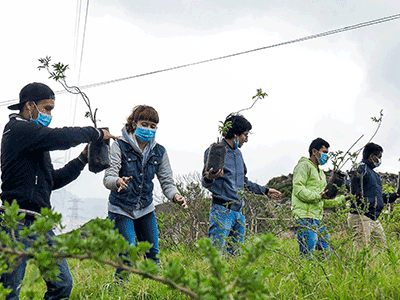 En 2018 han sido sembrados más de 3.000 árboles al interior del Relleno Sanitario Doña Juana