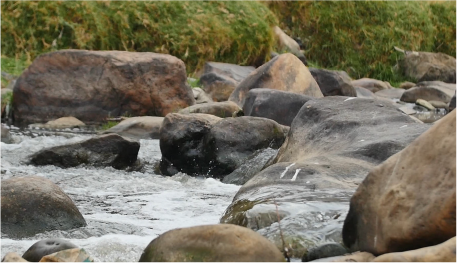 En la imagen: Agua corriendo sobre rocas en un río.