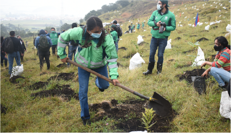 En la imagen: Un grupo de personas con herramientas siembran árboles, al fondo un paisaje verde de varias montañas.