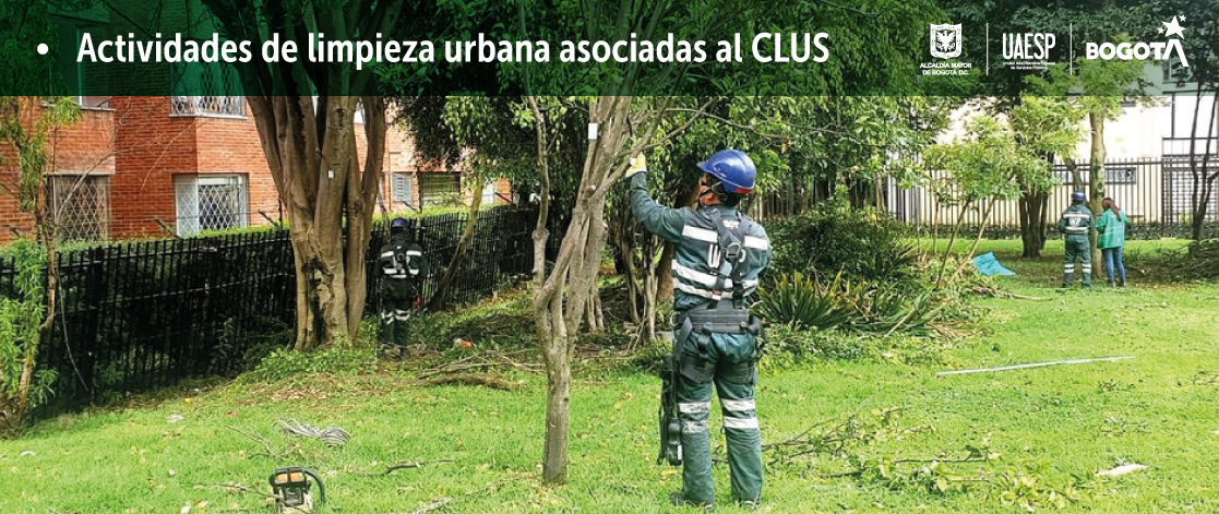 Actividades de limpieza urbana asociadas al CLUS