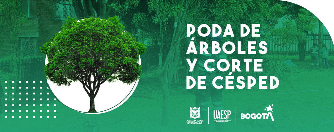 Poda de árboles y corte de césped | Unidad Administrativa Especial de  Servicios Públicos -UAESP-