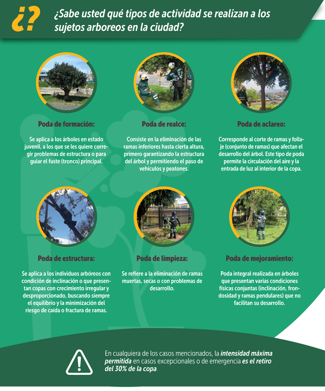 ¿Sabe usted qué tipos de actividad se realizan a los sujetos arboreos en la ciudad?