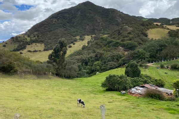 La UAESP continúa apostándole a un Mochuelo natural 