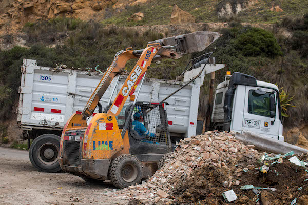 Mochuelo hacia el futuro