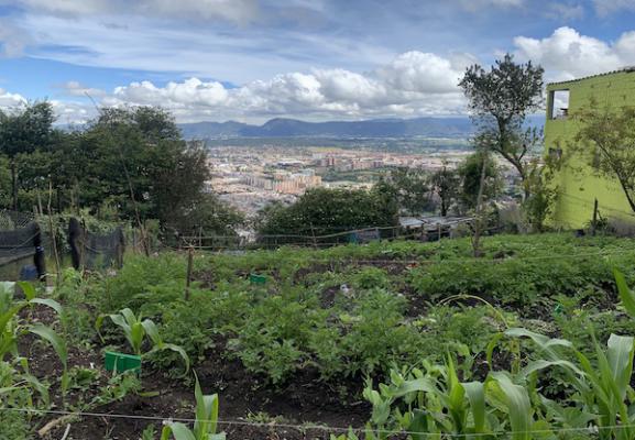 Agroecología Usaquen