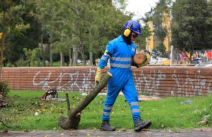 Operario de LIME, recogiendo trozos de tronco podados en la rotonda de la Calle 63 con Carrera 60, con el fin de llevarlos a donde harán la disposición del material.