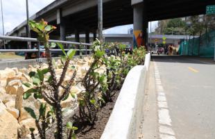 Sendero para peatones y bicisuarios ubicado debajo de un puente vehicular. Se ven piedras y plantas a su alrededor.
