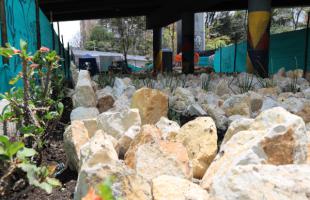 Intervención debajo de puente vehicular, diseño de paisaje con piedra rajón y plantas ornamentales