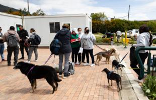 Personas esperan junto a sus mascotas para ser atendidas por los veterinarios. 