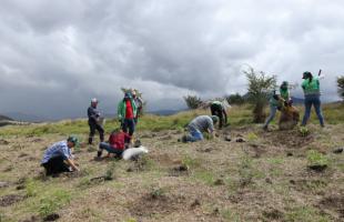 Funcionarios y voluntarios plantando arboles