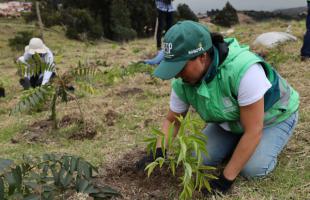 Funcionarios y voluntarios plantando arboles