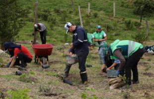 Funcionarios y voluntarios plantando arboles