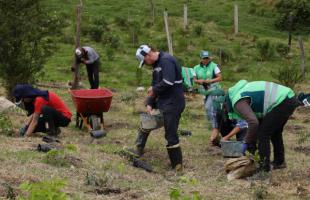 Equipo ambiental y voluntarios de la Subdirección de Disposición final Durante la jornada.