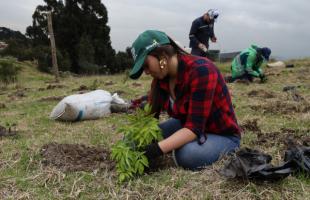 Funcionarios y voluntarios plantando arboles