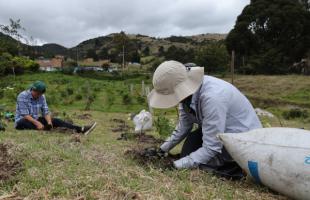 Funcionarios y voluntarios plantando arboles