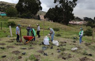 Funcionarios y voluntarios plantando arboles