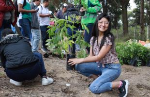 Estudiante de la Universidad Pedagógica planta un árbol en el punto crítico recuperado. 