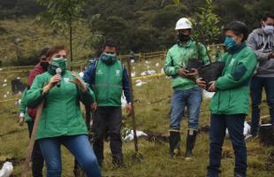 Distrito siembra 10 mil árboles en Mochuelo Bajo