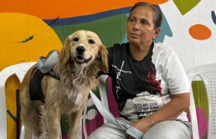 Animales beneficiados 