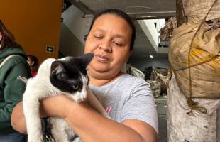 Animales beneficiados 