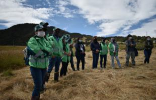 Colaboradores de la UAESP se preparan para iniciar jornada de plantación de árboles. 