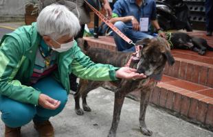 Jornada “Adoptémonos” en la UAESP