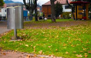 Las hojas de los árboles no son basura, aprende a convivir con ellas